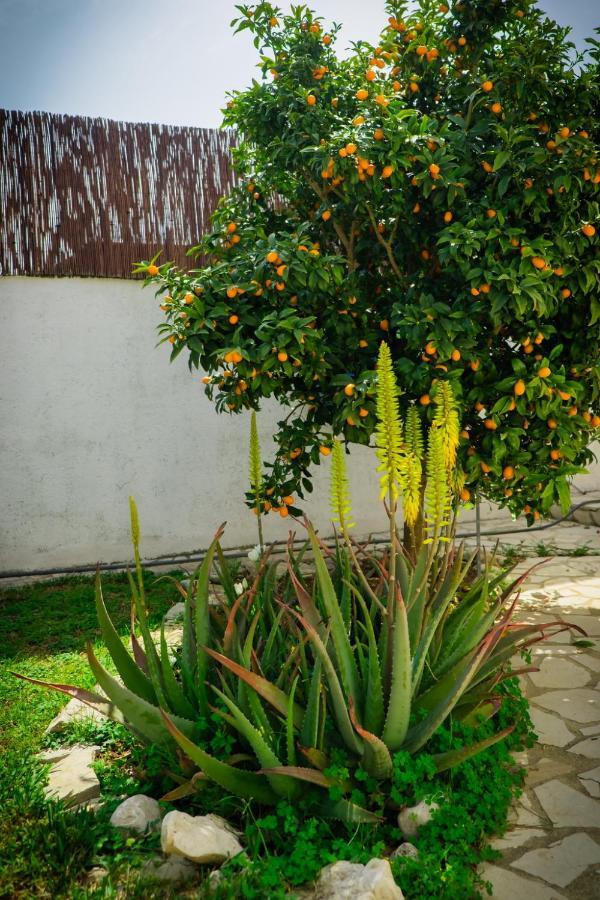 La Casita De Invitados Денія Екстер'єр фото